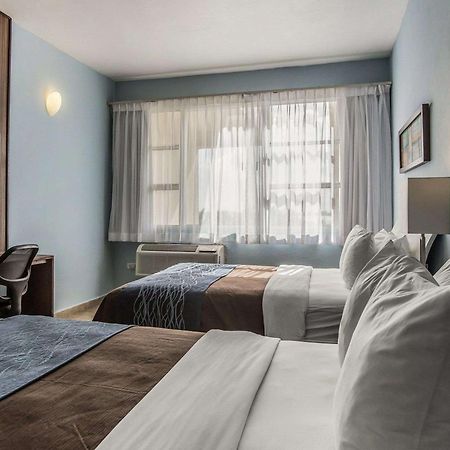 Comfort Inn & Suites Levittown Buitenkant foto