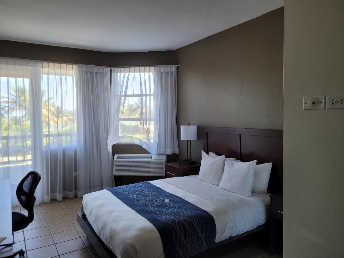 Comfort Inn & Suites Levittown Buitenkant foto